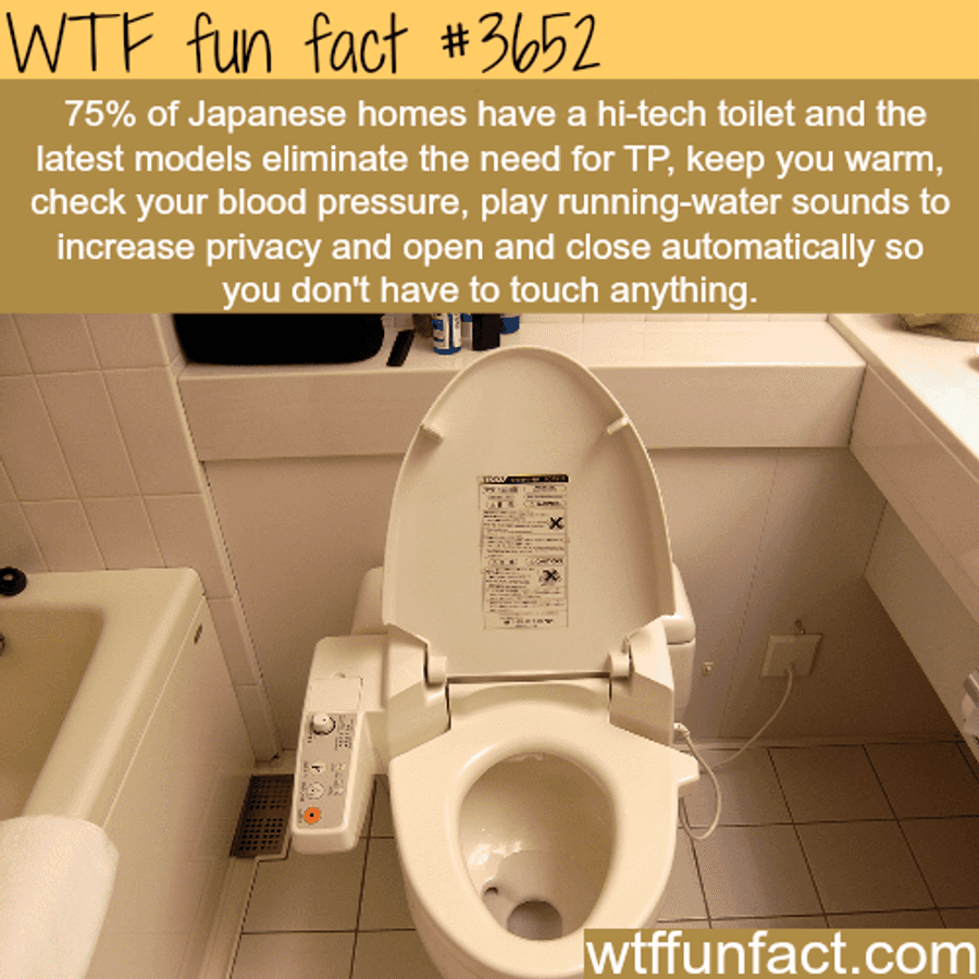 Japanese Fun Facts GIF
