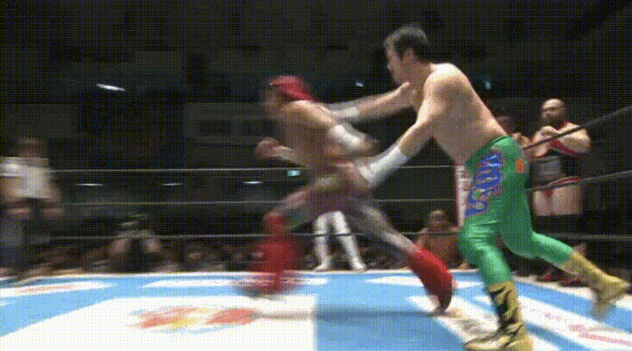 Japanese Pro Wrestling Action GIF