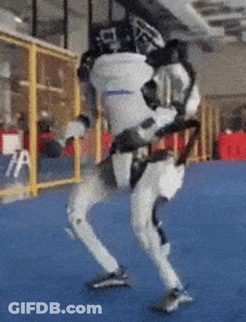 Jared Boston Dynamics Robot Dance GIF