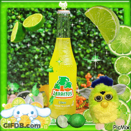 Jarritos Lime Bottle With Limes And Furby GIF