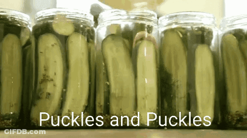 Jars Of Pickles Lined Up Saying Pickles And Pickles GIF