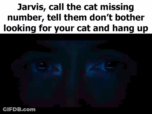 Jarvis , Call The Cat Missing Number , Tell Them Don 'T Bother Looking For Your Cat And Hang Up .. GIF
