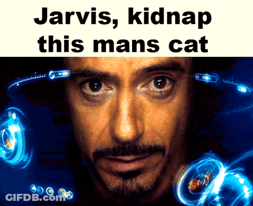 Jarvis Kidnap This Mans Cat Is Written Above A Picture Of A Man GIF