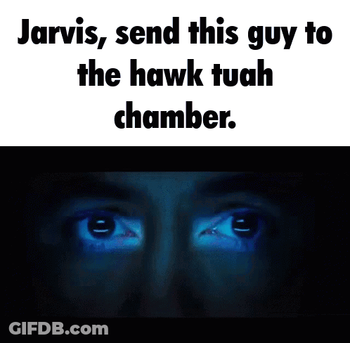 Jarvis Send This Guy To The Hawk Tuah Chamber GIF