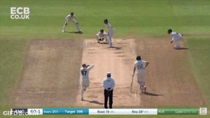 Jason Roy Batting GIF