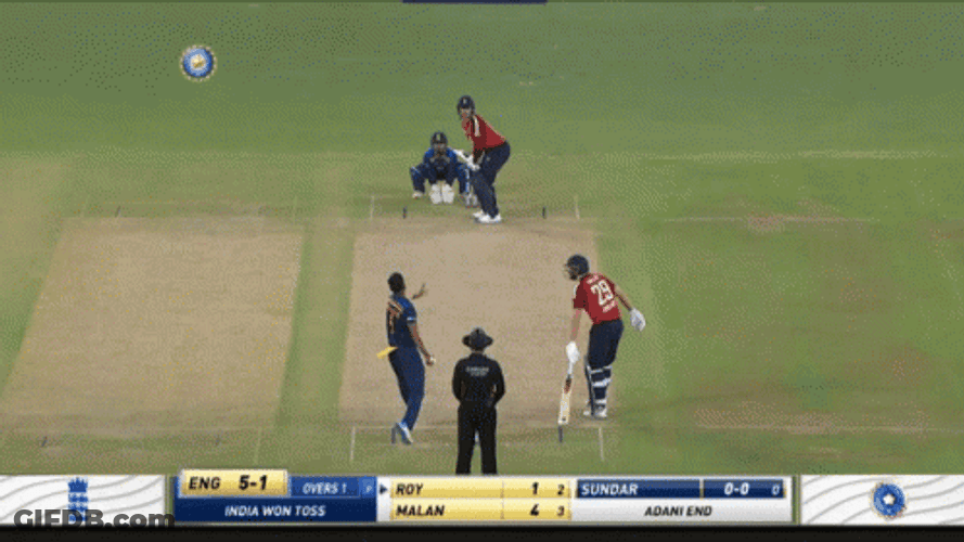 Jason Roy Cricket Live Game GIF