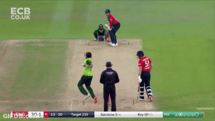 Jason Roy Cricketer GIF