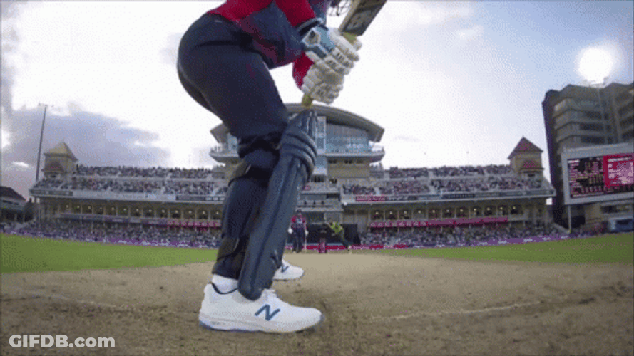 Jason Roy Hits Cricket Ball GIF