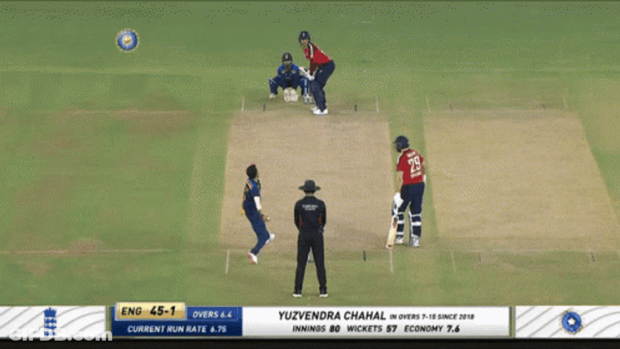 Jason Roy Hitting Cricket Ball GIF