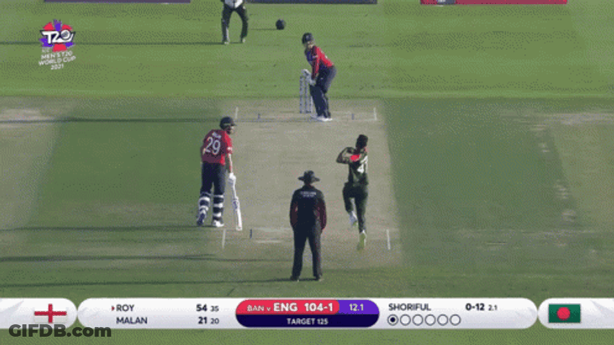 Jason Roy South African Cricketer GIF