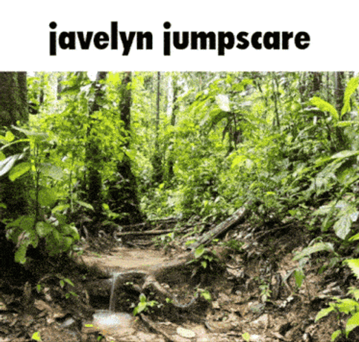 Javelyn Gaia Dreamers GIF