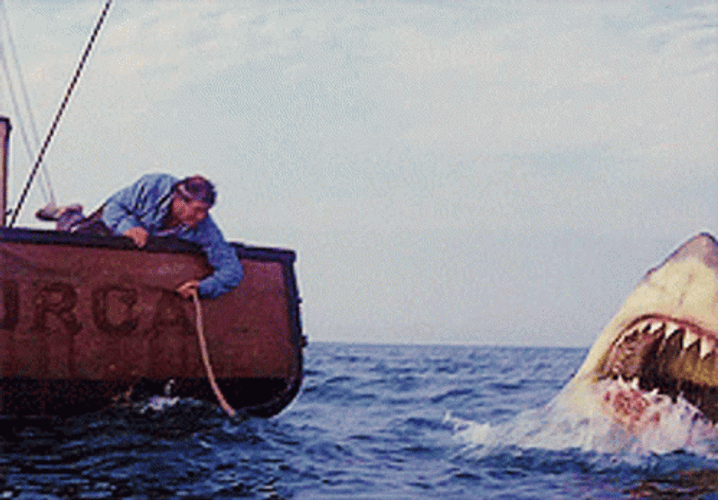 Jaws Big Shark Ocean GIF