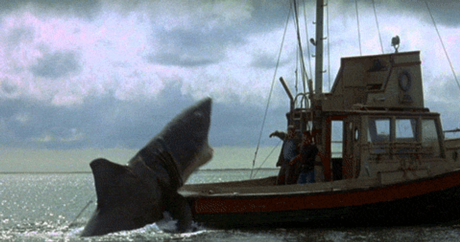 Jaws Boat Shark Attack GIF