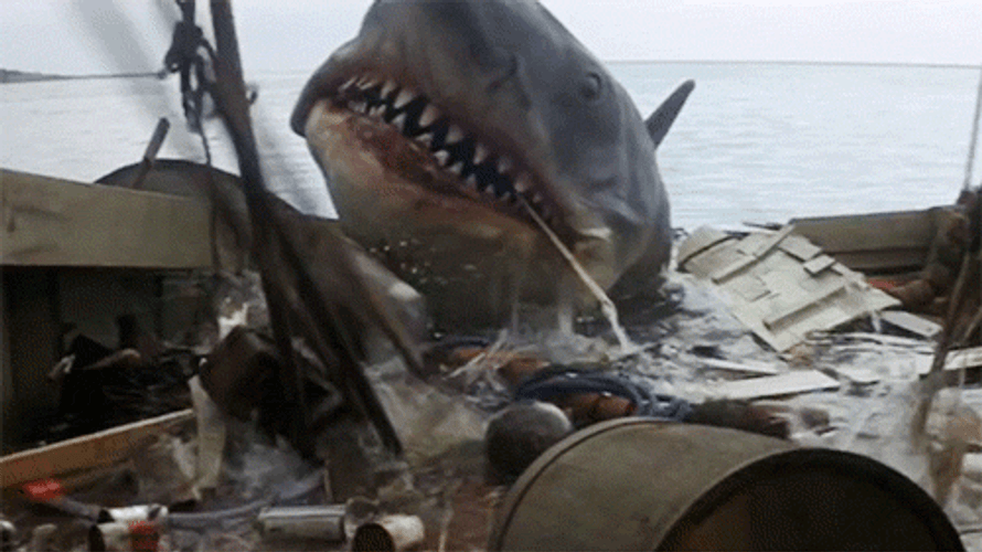Jaws Shark Attack GIF