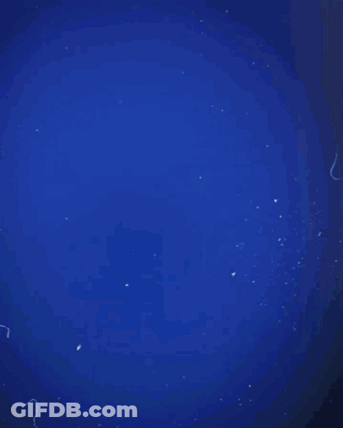 Jayden Oosterwolde Goal GIF