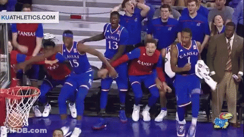Jayhawks Omg GIF
