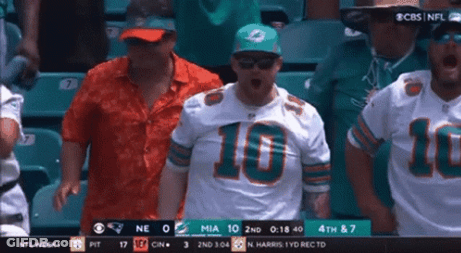 Jaylen Waddle Fans Penguin Dance Celebration GIF