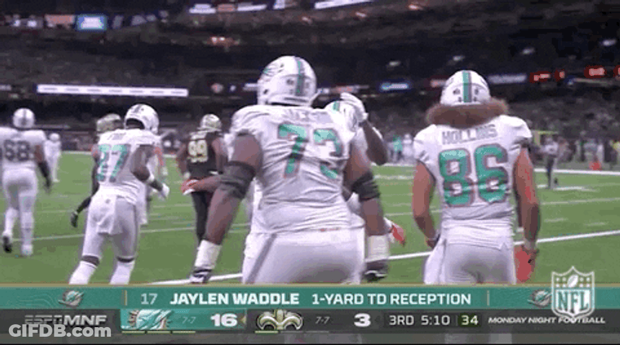 Jaylen Waddle Miami Dolphins Team GIF