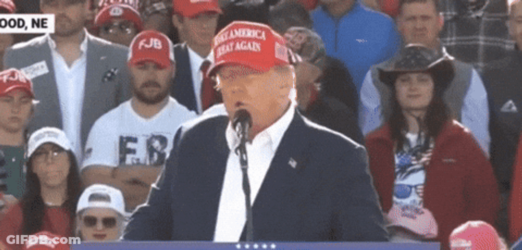 JD Vance Donald Trump Meme GIF