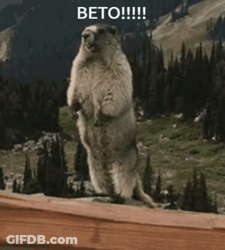 Jdmkiller111 1234 GIF