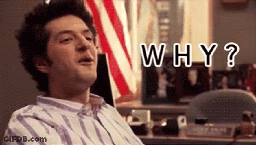 Jean Ralphio Parks And Recreation Why GIF
