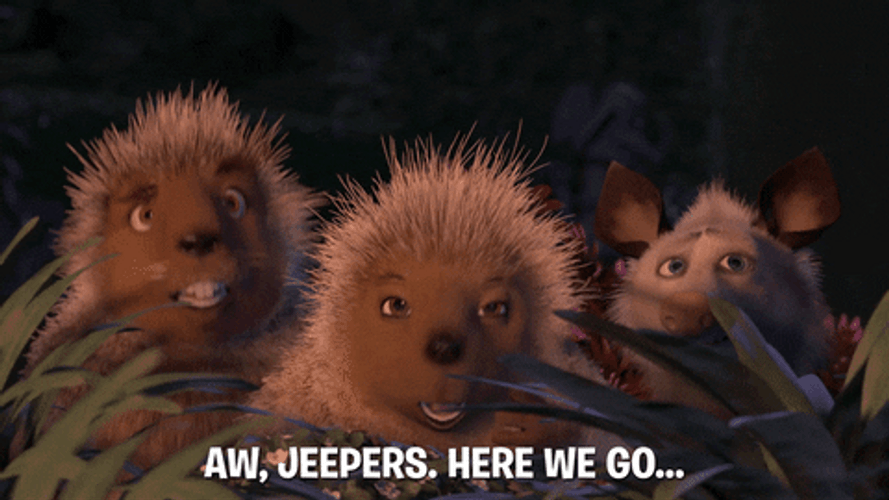 Jeepers Here We Go GIF