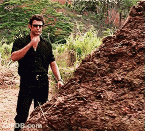 Jeff Goldblum Looking At Dino Dung GIF