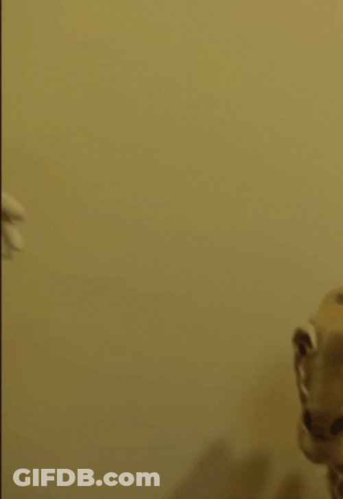 Jeffy Shouting In Yellow Background GIF
