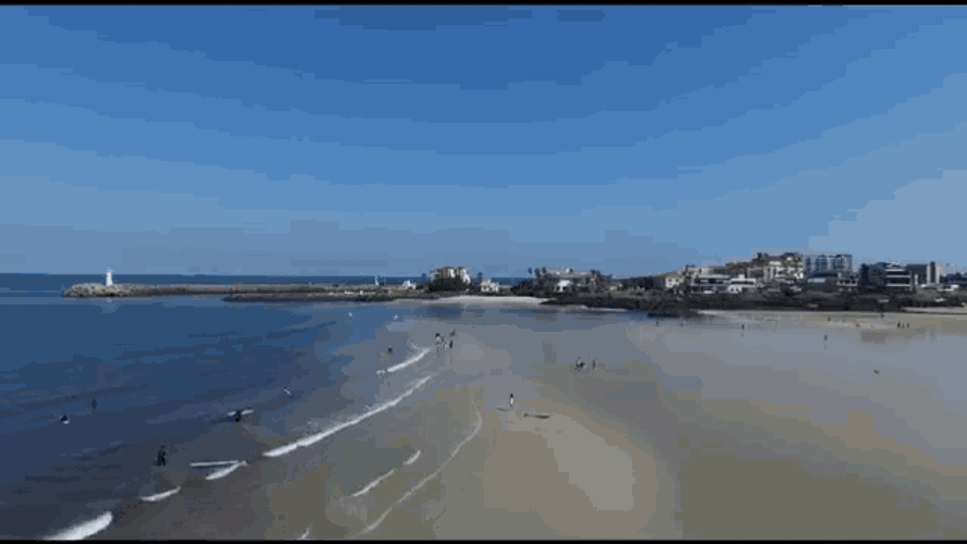 제주도 GIF