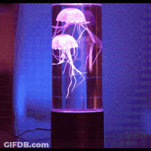 Jelly Fish Inside Lava Lamp GIF