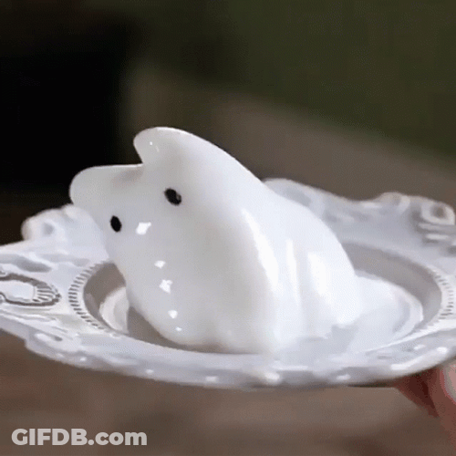 Jelly White Cat Dancing Meme GIF