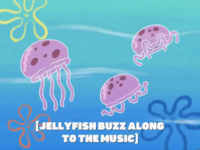 Jellyfish Buzz Along To The Music GIF