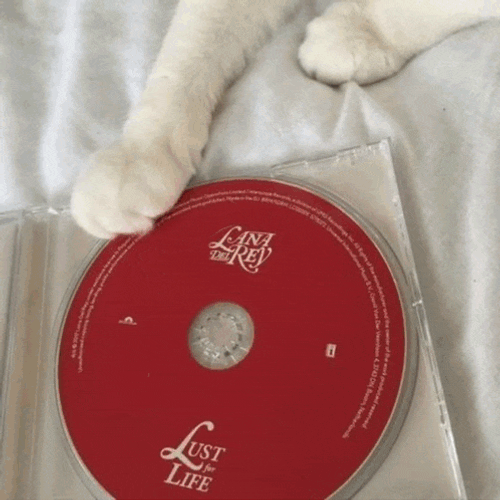 Jennie Red GIF