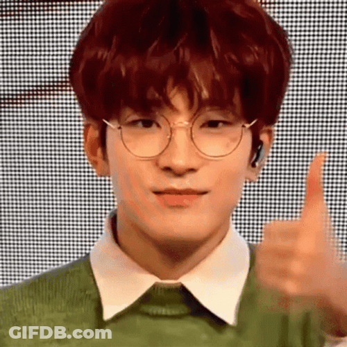 Jeon Wonwoo Seventeen Kip Yes GIF