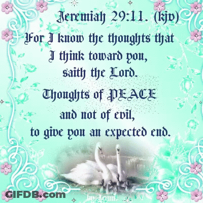 Jeremiah 29:11 Bible Verse On Blue Background GIF