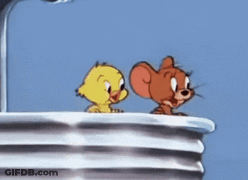 Jerry And Tweety Looking At Each Other GIF