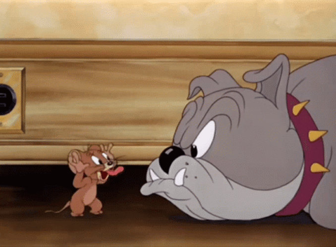 Jerry Challenging Passive Cartoon Dog Spike GIF