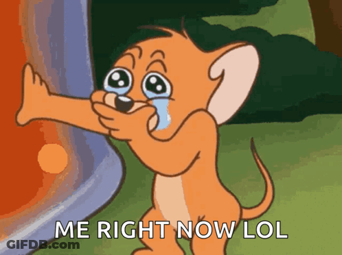 Jerry Crying With Me Right Now GIF