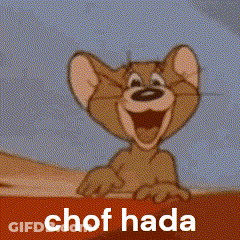 Jerry From Tom And Jerry Thumbs Up Pointing GIF
