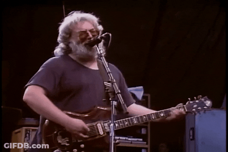 Jerry Garcia The Guitarist GIF