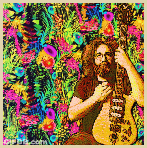 Jerry Garcia Tripping GIF
