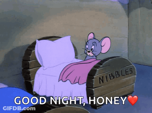 Jerry In Bed Saying Good Night Honey GIF