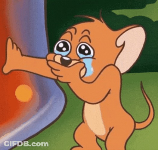 Jerry Mouse Crying Meme GIF