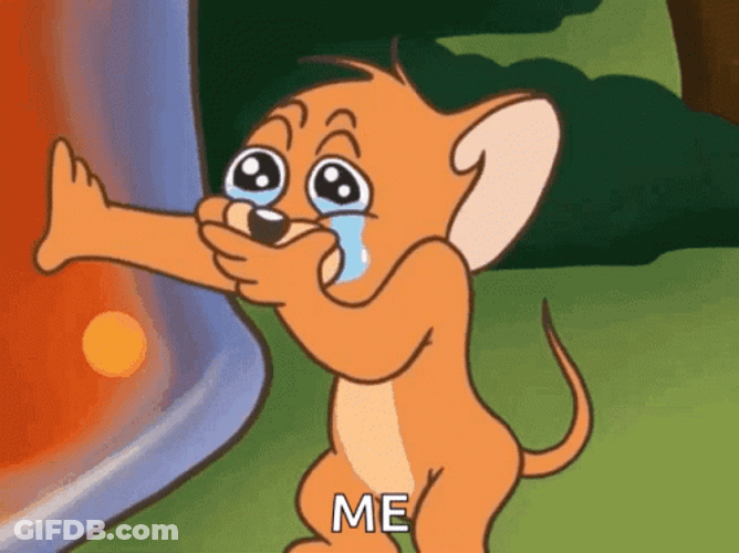 Jerry Mouse Holding Crying Funny Meme GIF