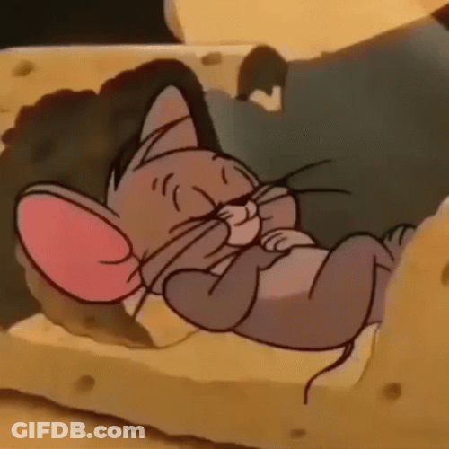Jerry Mouse Lying On Cheese Bed GIF