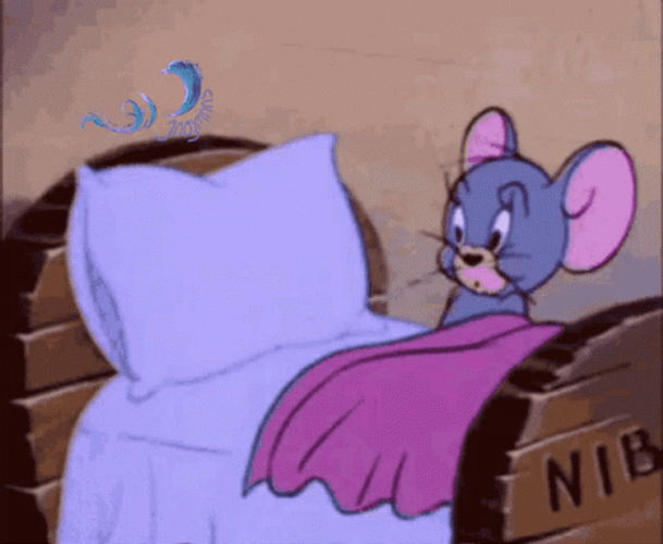 Jerry Mouse Nephew Nibbles Cute Sleeping GIF