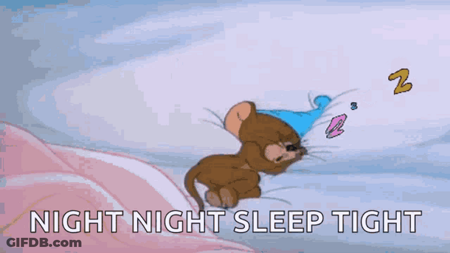 Jerry Mouse Night Night Sleep Tight GIF