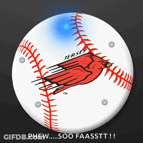 Jersey Baseball With Red Cardinal GIF