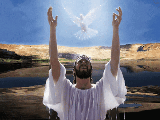 Jesus Christ Bathing Holy Water Holy Spirit GIF