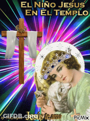 Jesus Holding Lamb El Niño Jesús En El Templo GIF
